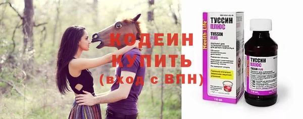 мдпв Гусь-Хрустальный