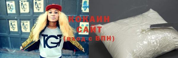 мдпв Гусь-Хрустальный