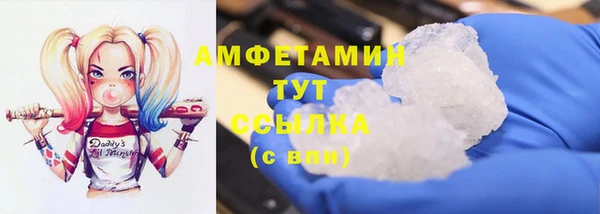 мдпв Гусь-Хрустальный