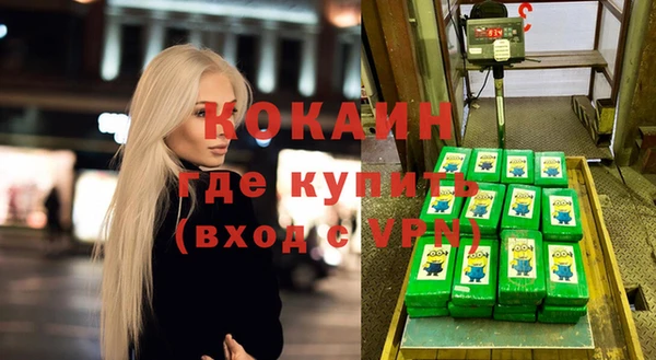 мдпв Гусь-Хрустальный