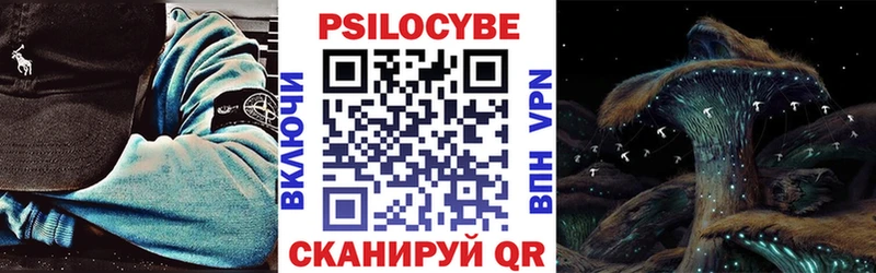 Псилоцибиновые грибы мухоморы  Новая Ладога 